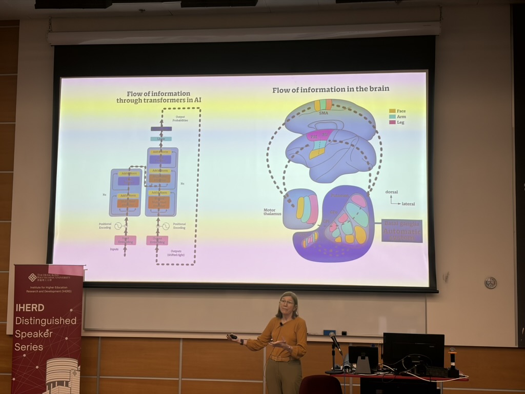 Information of AI compared to brain